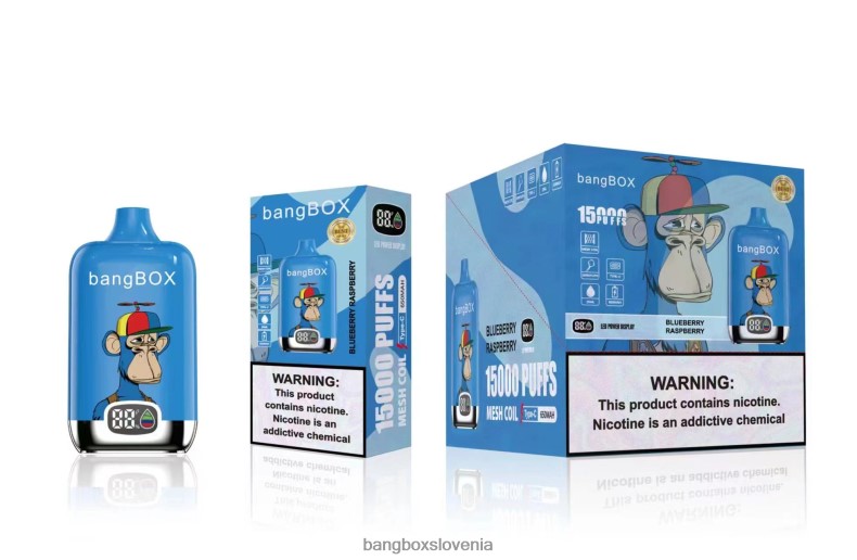 Bang Box Ljubljana - Bang Box 15000 vpihov borovnica malina 4PNRF846